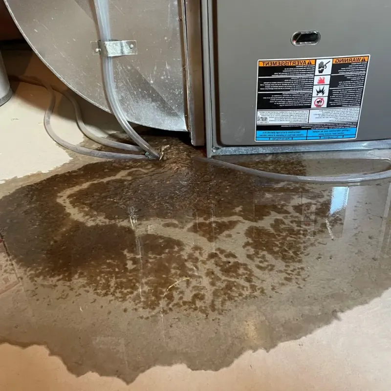 Pipe Burst and Leak Restoration in Lamoni, IA