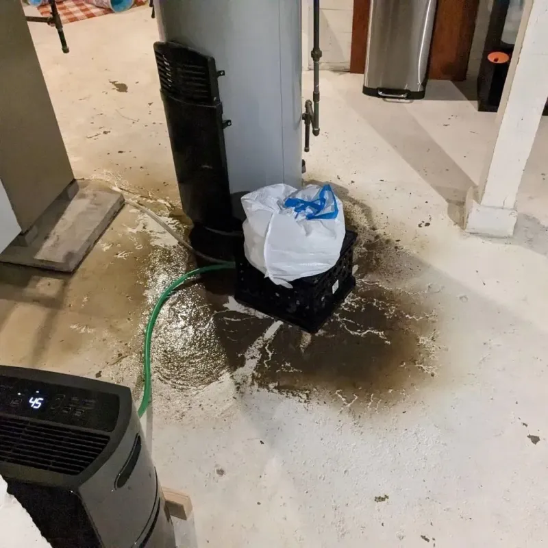 Sewage Backup Cleanup Service in Lamoni, IA